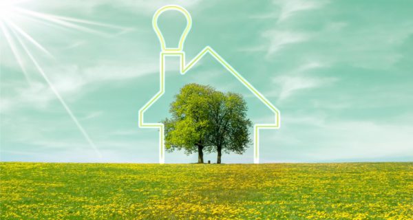 Ceiling Fans are a Winter Winner